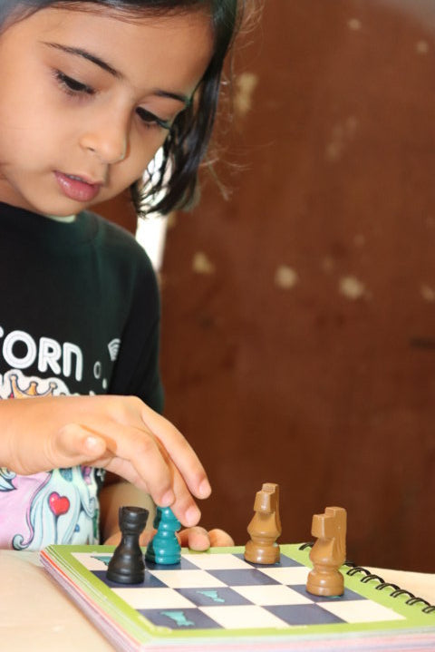Physome Single Player Chess Board Game You Can Play Alone for The Whole Family 1 Player Chess Puzzle Chess Player Beginner to Experts Chess for Kids